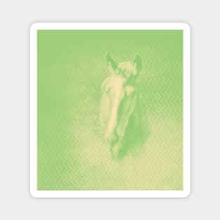 Horse emerging from the alien green mist Magnet