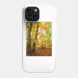 Autumn Trees Phone Case