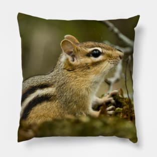 Chipmunk Pillow