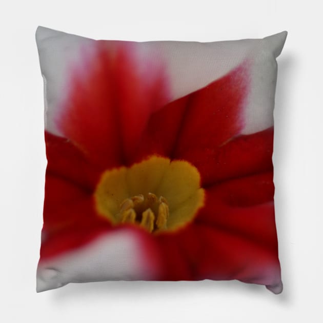 Primula Flowerart Pillow by OVP Art&Design