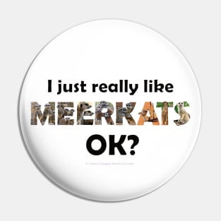 I just really like meerkats ok? - wildlife oil painting word art Pin