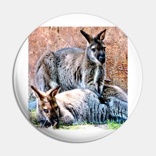 Wallaby Mates Pin