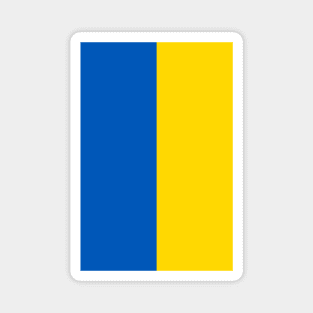 Vertical Ukraine Flag Magnet