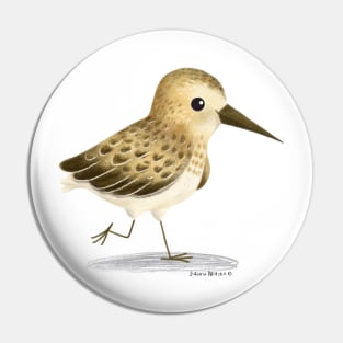 Sandpiper Bird Pin