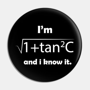 Im Sec C And I Know It  Funny Sexy Math Humor Pin