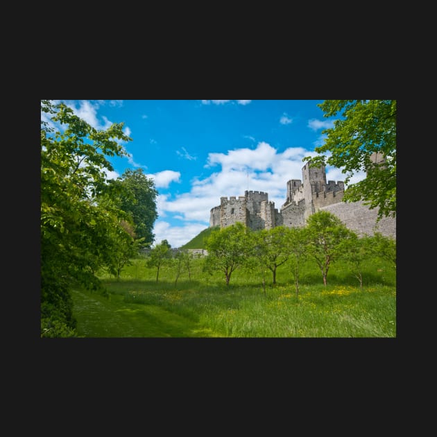 Arundel Castle by RichardGibb