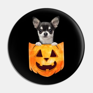 Black Chihuahua Dog In Pumpkin Pocket Halloween Pin
