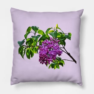 Lilacs Just Opening Pillow