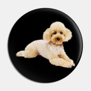 Cute Poodle dog, Love Poodles, Dog Lover Pin