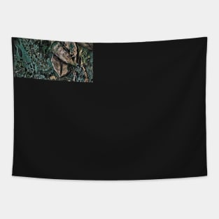 The Dark Forest Tapestry