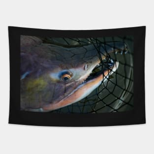 Humpy Salmon Tapestry