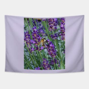 bee on lavender Tapestry