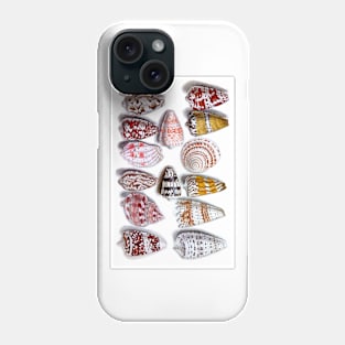 14 Colorful Seashells 15-1600s Century French Watercolor Phone Case
