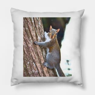 Climbing Up The Tree Pillow