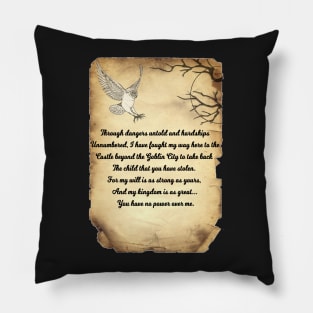 Labyrinth Poem Pillow