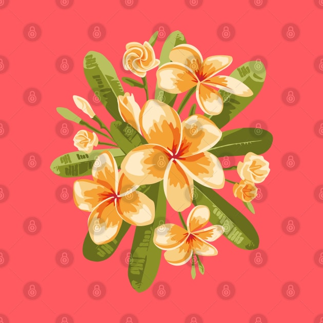 Orange Plumeria flowers by lents