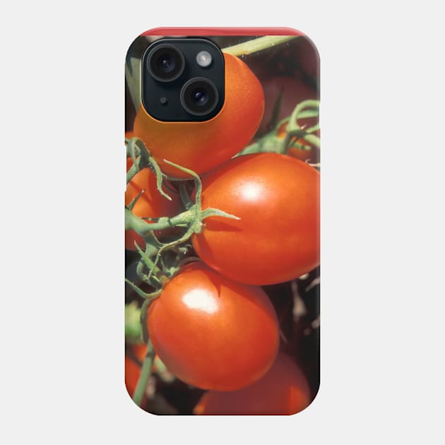 Red Tomatoes Phone Case by Bravuramedia