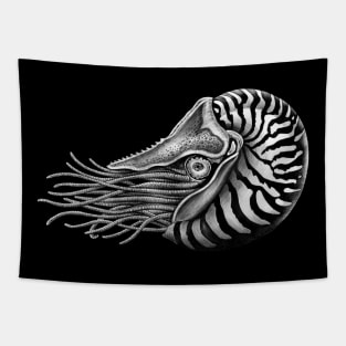 Nautilus Tapestry