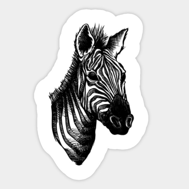 Zebra Creative Illustration Drawing Zebra Drawing Sticker Teepublic
