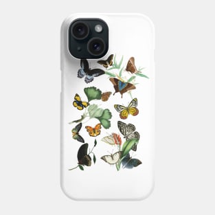 Vintage butterflies Phone Case