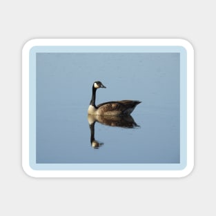 Canadian Goose, wild birds, wildlife gifts Magnet