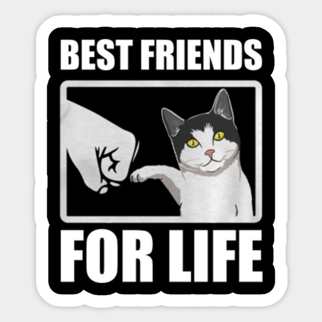 Funny Cat T Shirt Best Friends For Life T Shirt Funny Cat Best