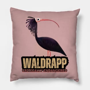 WALDRAPP CRITICALLY ENDANGETED BIRD Pillow