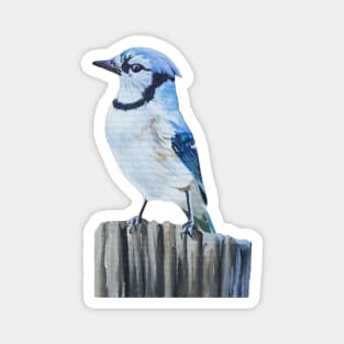 Blue Jay on a Post - fall bird painting (no background) Magnet