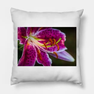 Close-up of Garden Lily 12 Pillow