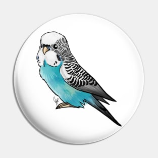 Bird - Budgerigar Parakeet - Blue Pin