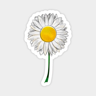 Daisy Flower Magnet