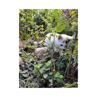 Little cat Susi in the garden T-Shirt