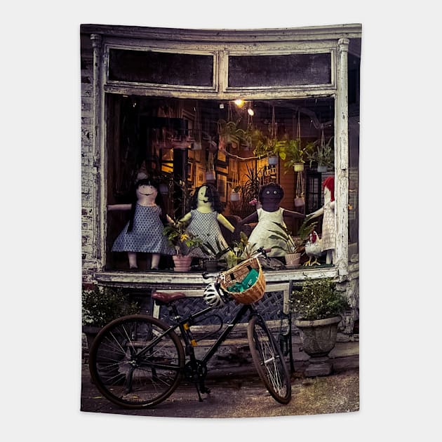 Brooklyn Heights Dolls Shop Bike New York City Tapestry by eleonoraingrid