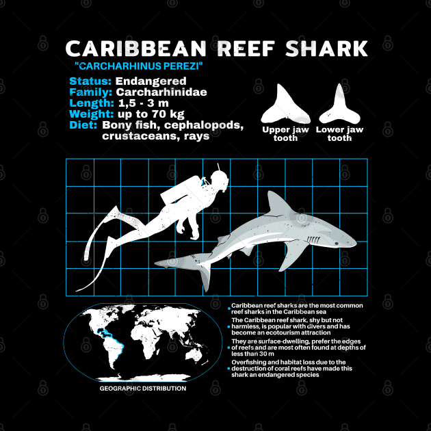 Caribbean Reef Shark Fact sheet by NicGrayTees