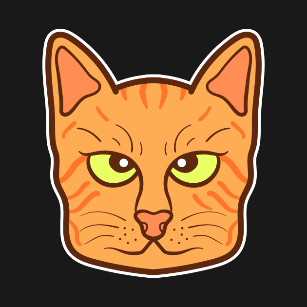 Orange domestic cat by happymonday