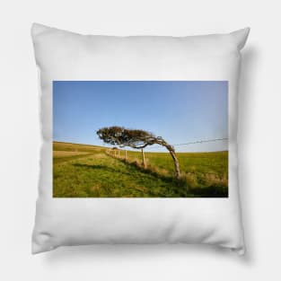 Windswept Tree Pillow