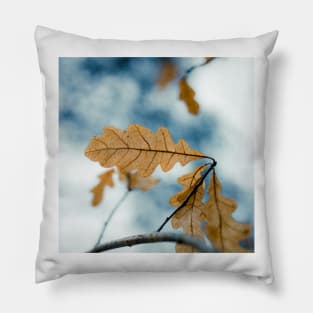 Dry yellow leaves in small oak tree Pillow