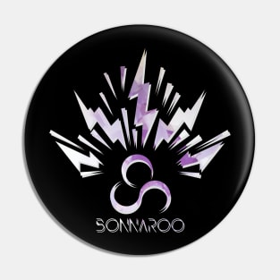 Bonnaroo Pin