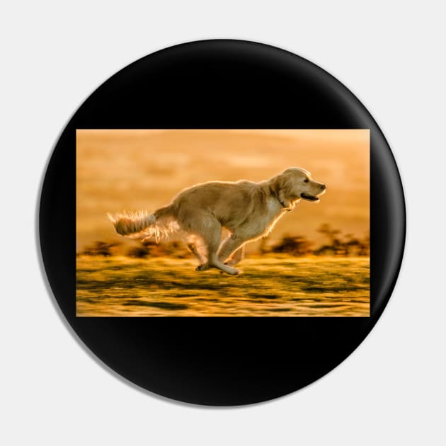 Dog Running Pin by EM Company Ltd