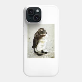 Baby South African Penguin Moulting Phone Case