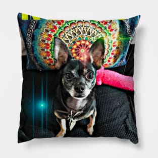 Rocco the GReat! Psychedelic Chihuahua Pillow