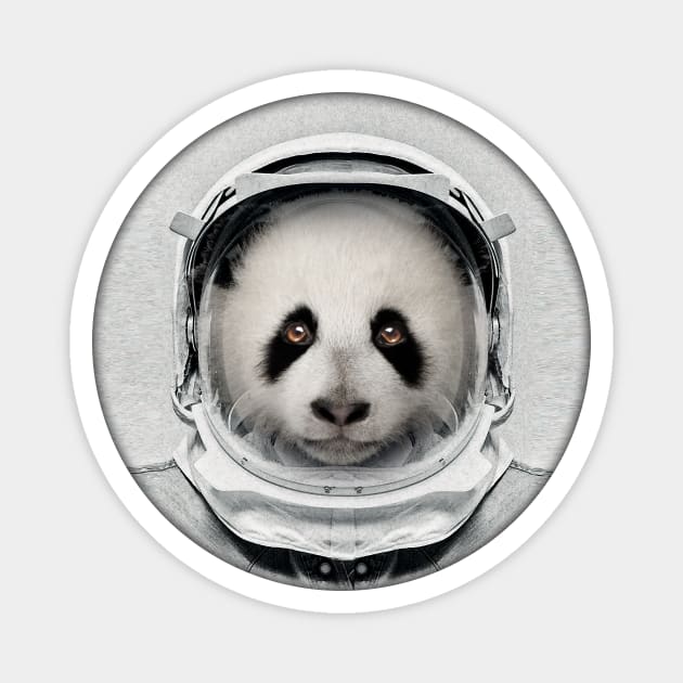 Astronaut Panda Bear Magnet by Vin Zzep