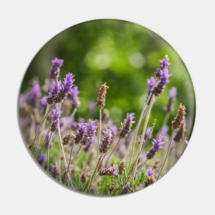 Lavender Flowers Pin