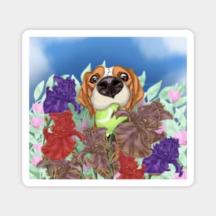 A dog on a flower field. Magnet