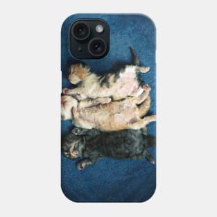 Just being this cute is completely exhausting! Phone Case