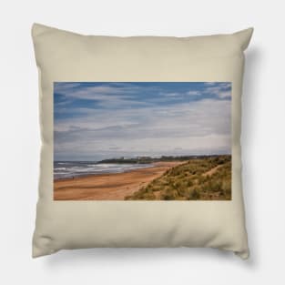 Springtime on the beach at Seaton Sluice Pillow