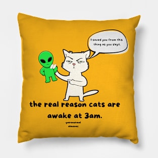 cats are heroes! Pillow