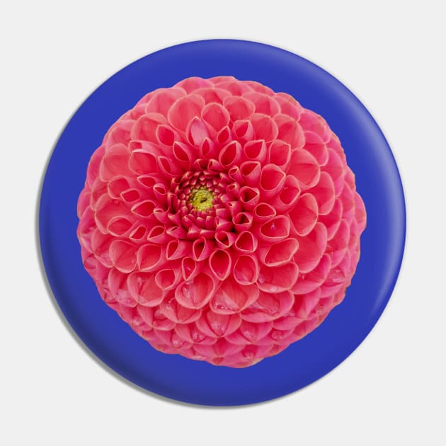 Red Dahlia Flower Pin by ellenhenryart