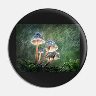 Common Bonnets in Swirling Rain Pin