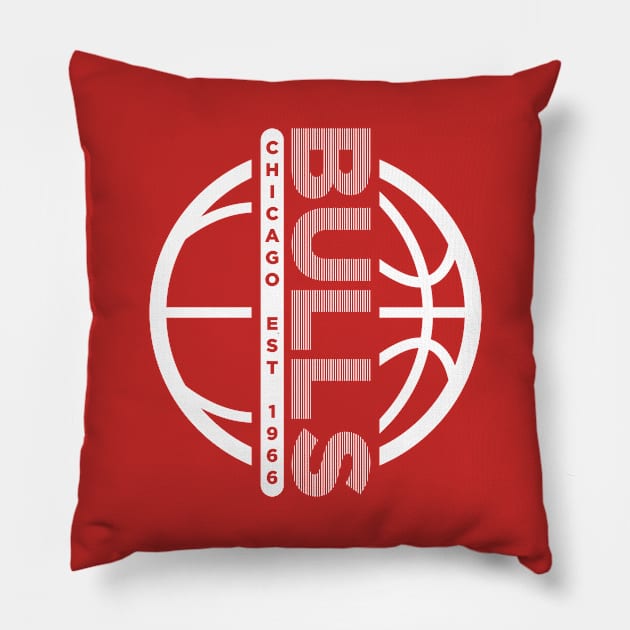 Chicago Bulls 9 Pillow by HooPet